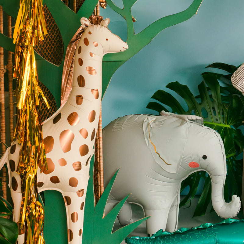 Fiesta Safari y Jungla