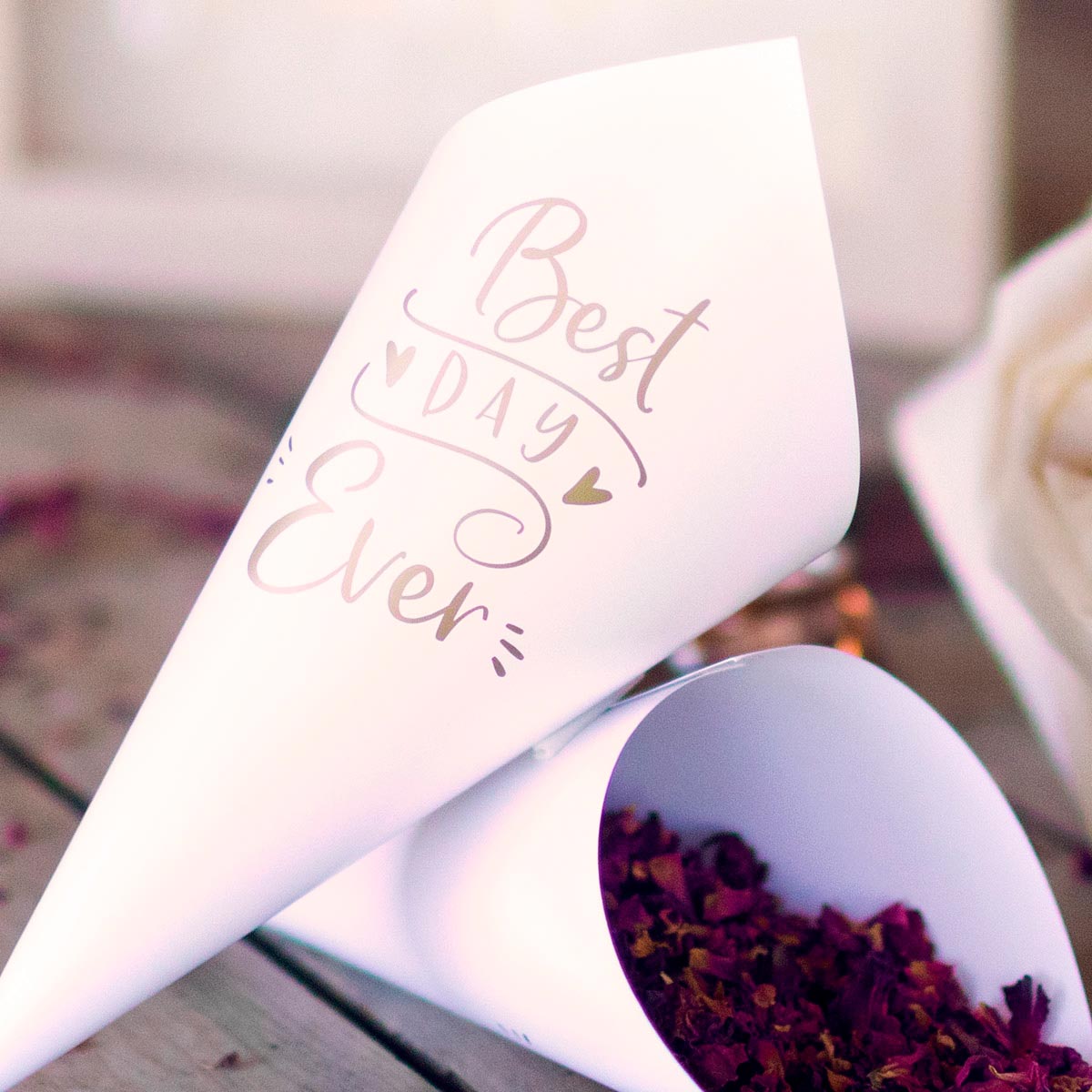 Conos para confeti y arroz best day ever