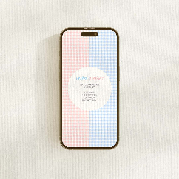 Invitación digital de revelación de género personalizada en formato PDF/JPG con estampado vichy rosa y azul