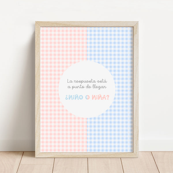 Lámina de bienvenida personalizada para revelación de género de 30x40 cm con estampado vichy rosa y azul y el texto "¿Niño o niña?"