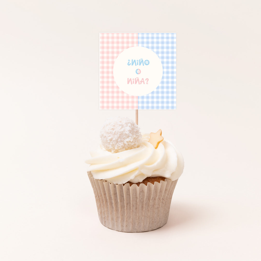 Pack de 12 toppers personalizados temática revelación de género con estampado vichy rosa y azul para cupcakes y mesa dulce